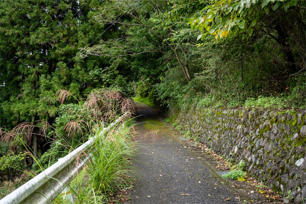 f:id:haikutu:20220225114811j:image f:id:haikutu:20220225114811j:image
