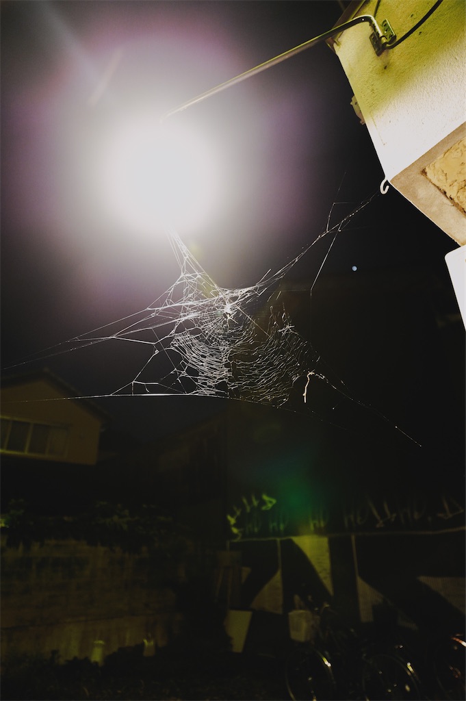 f:id:haikutu:20220304011408j:image