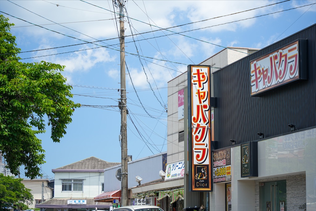 f:id:haikutu:20220615225100j:image