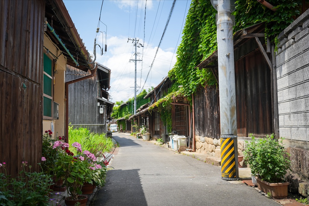 f:id:haikutu:20220616013246j:image