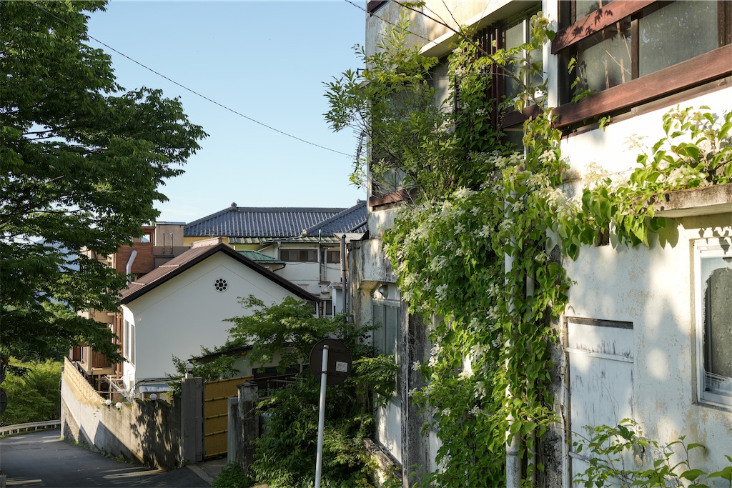 f:id:haikutu:20220708025818j:image