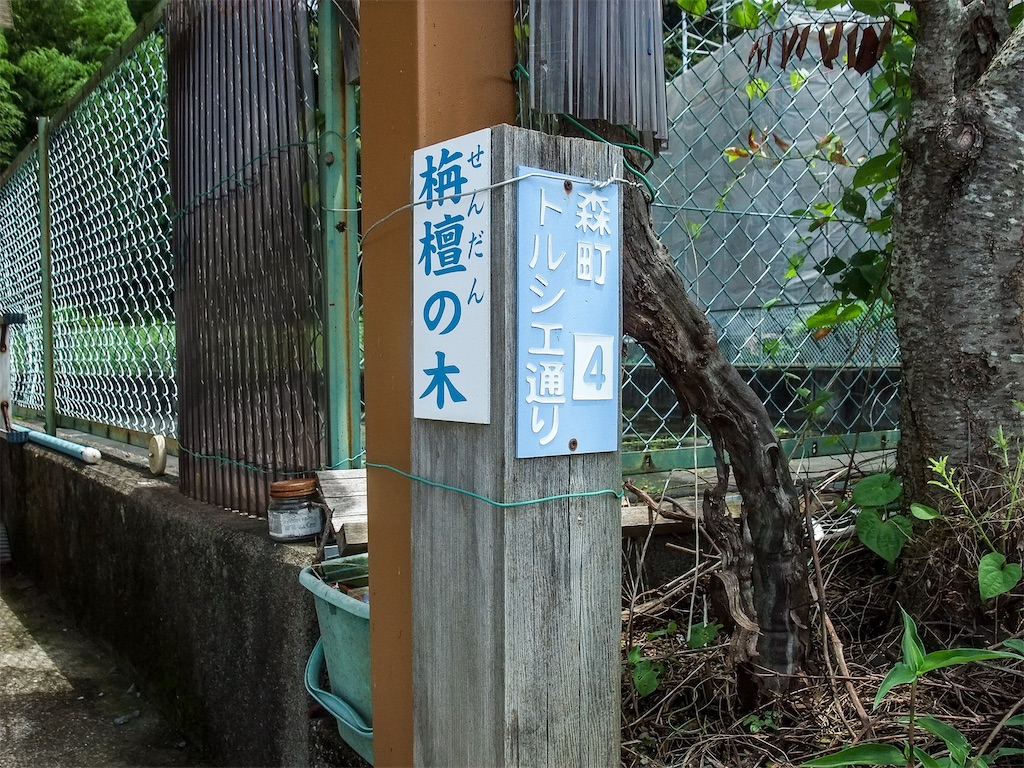 f:id:haikutu:20220710024022j:image