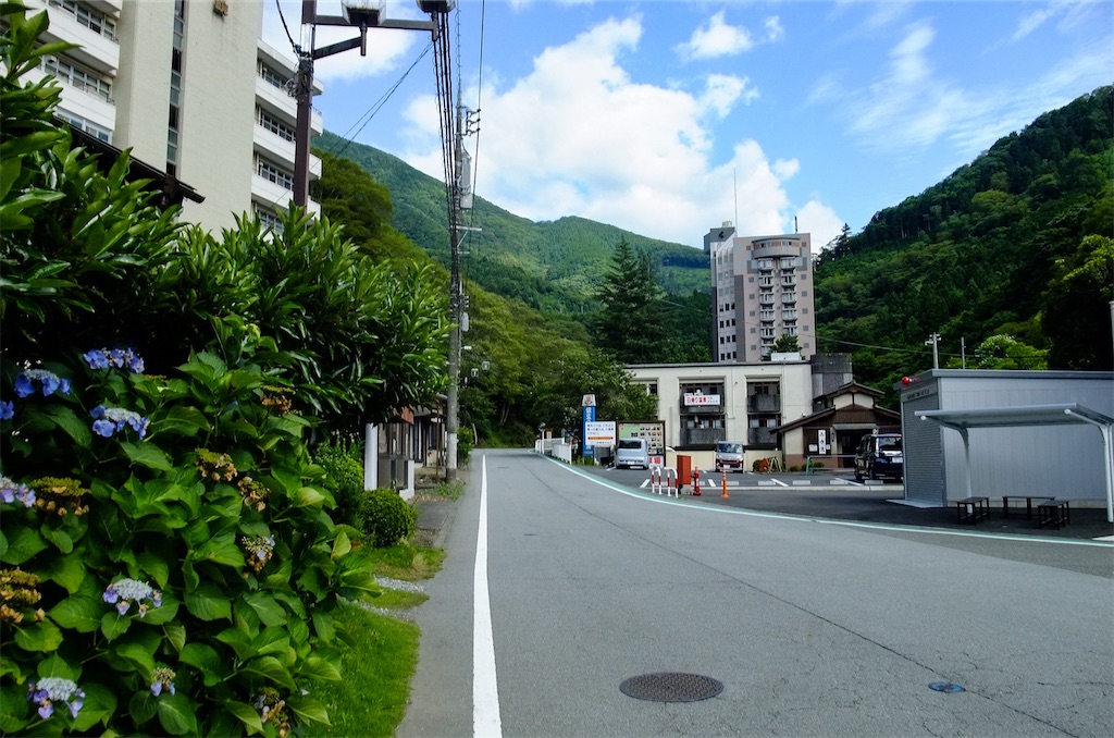 f:id:haikutu:20220711110240j:image