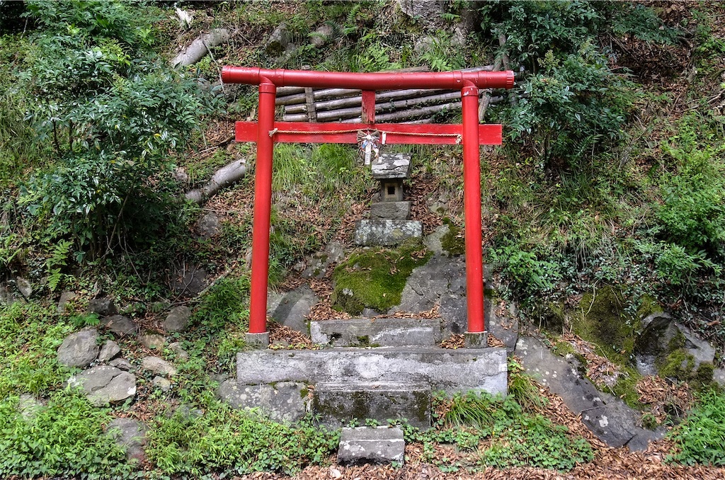 f:id:haikutu:20220711112829j:image f:id:haikutu:20220711112829j:image