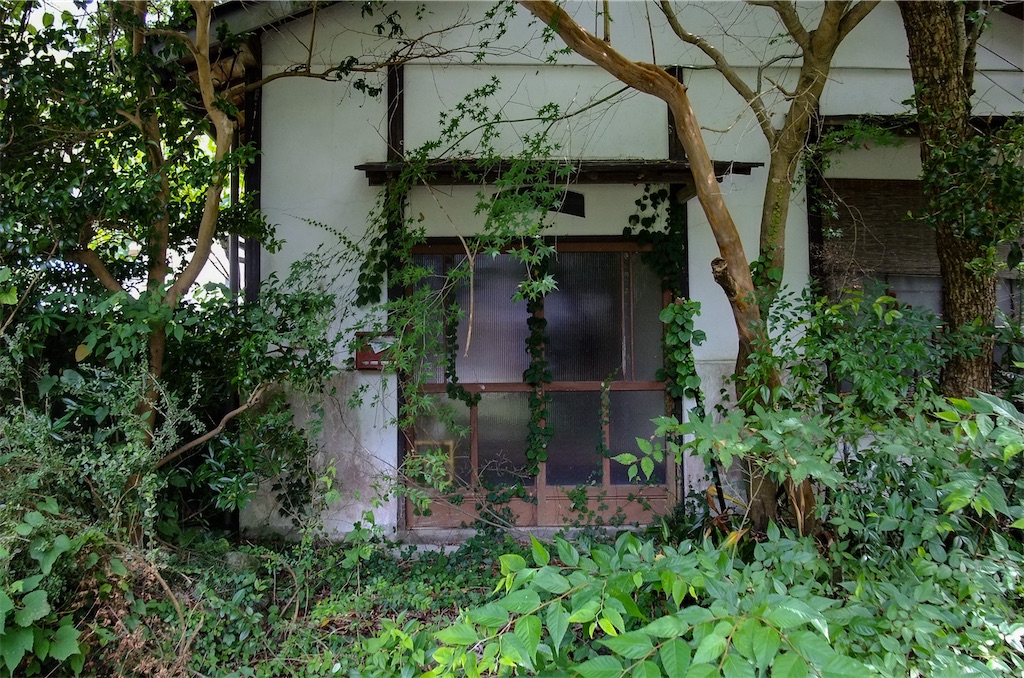 f:id:haikutu:20220711113125j:image f:id:haikutu:20220711113125j:image