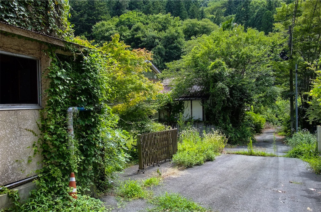 f:id:haikutu:20220711113128j:image f:id:haikutu:20220711113128j:image