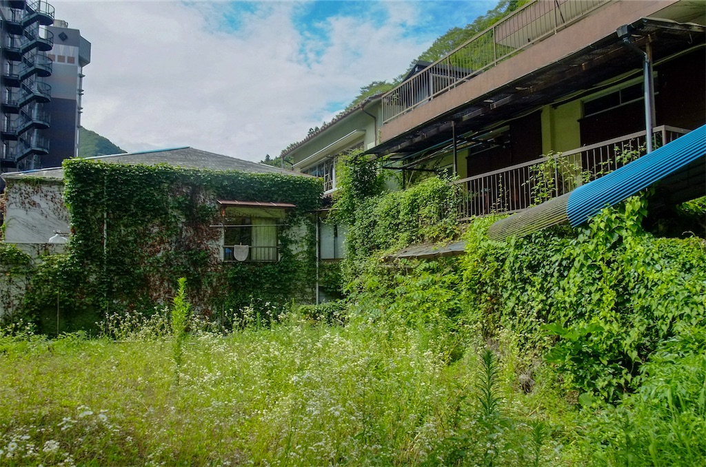 f:id:haikutu:20220711113132j:image f:id:haikutu:20220711113132j:image