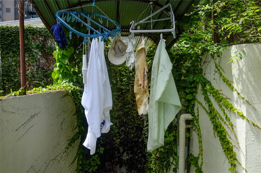 f:id:haikutu:20220711113135j:image f:id:haikutu:20220711113135j:image