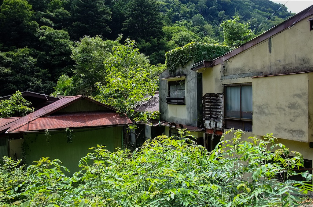 f:id:haikutu:20220711114511j:image f:id:haikutu:20220711114511j:image