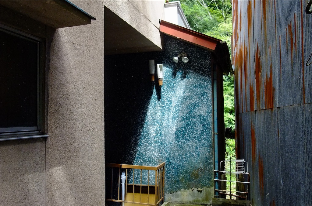 f:id:haikutu:20220711115927j:image f:id:haikutu:20220711115927j:image