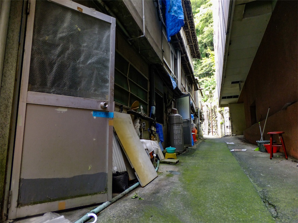 f:id:haikutu:20220711120513j:image f:id:haikutu:20220711120513j:image