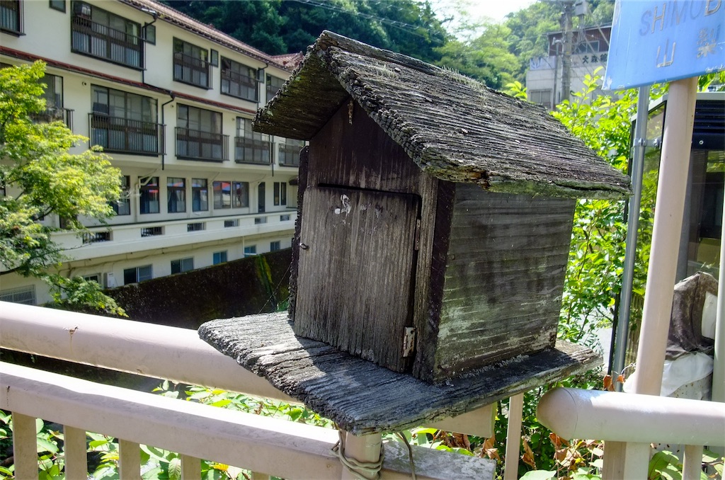 f:id:haikutu:20220711121642j:image f:id:haikutu:20220711121642j:image