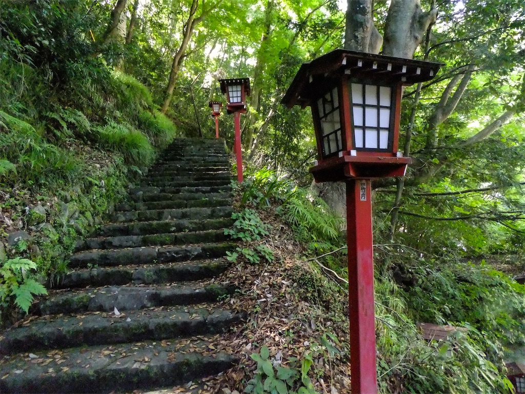 f:id:haikutu:20220711122136j:image f:id:haikutu:20220711122136j:image