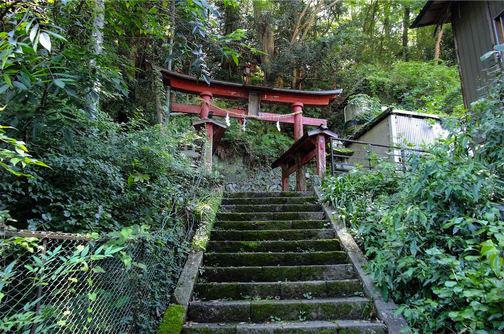 f:id:haikutu:20220711122139j:image f:id:haikutu:20220711122139j:image