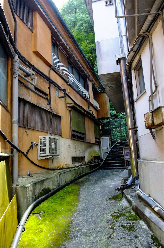 f:id:haikutu:20220711122145j:image f:id:haikutu:20220711122145j:image