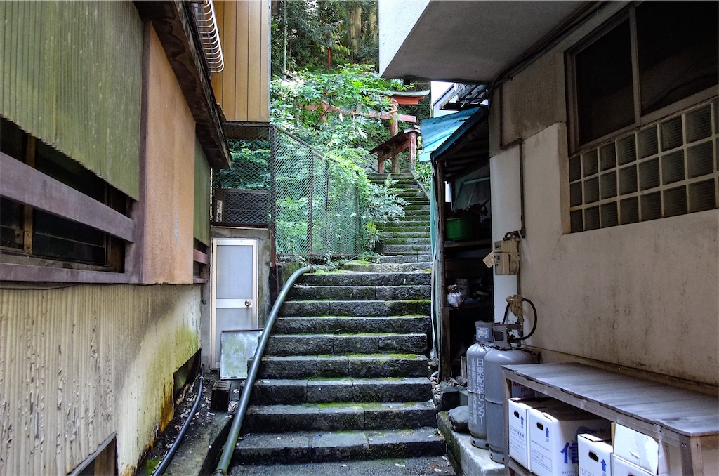 f:id:haikutu:20220711122216j:image f:id:haikutu:20220711122216j:image