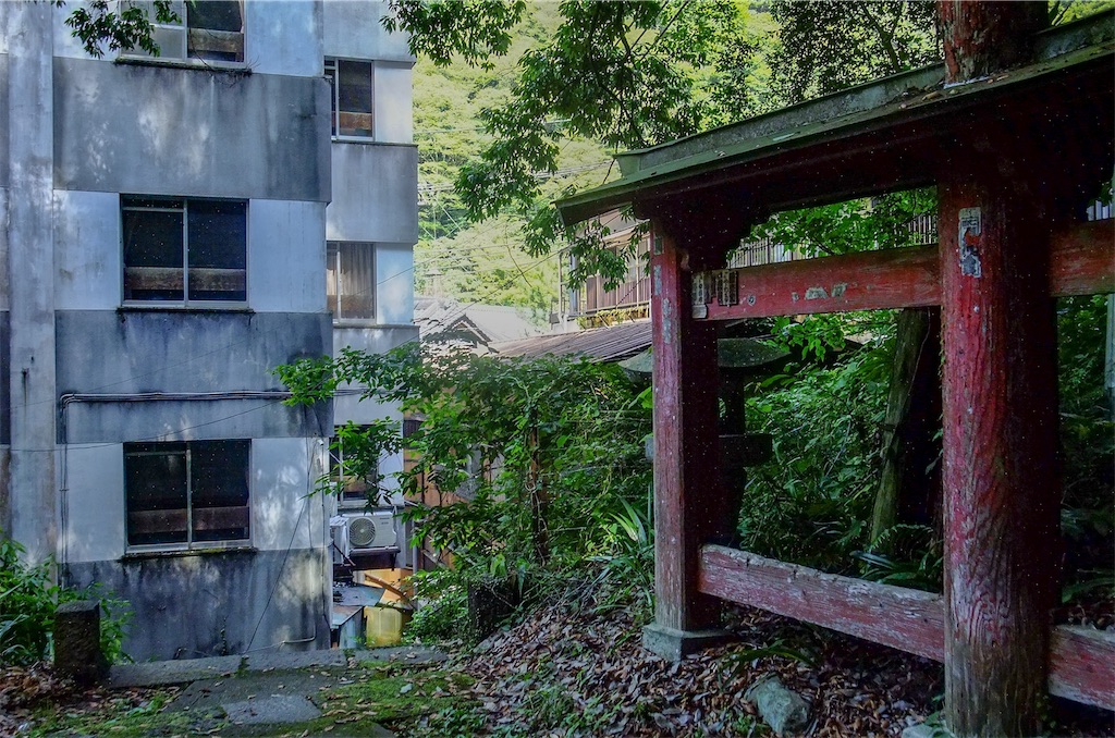 f:id:haikutu:20220711122305j:image f:id:haikutu:20220711122305j:image