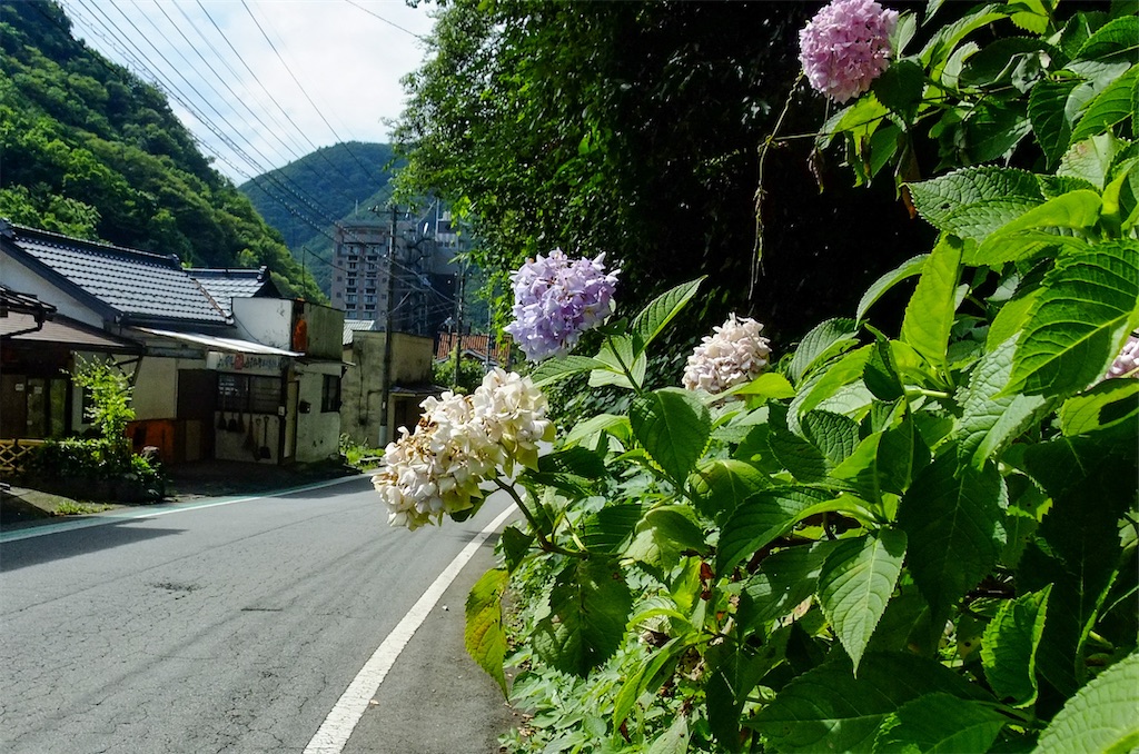 f:id:haikutu:20220711123619j:image f:id:haikutu:20220711123619j:image