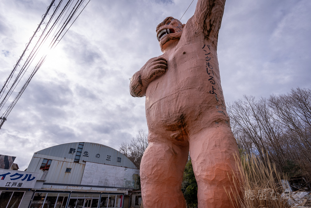 野生の王国 リサイクル江戸屋 国道沿いのゴリラ - 廃屈な日々〜旅と