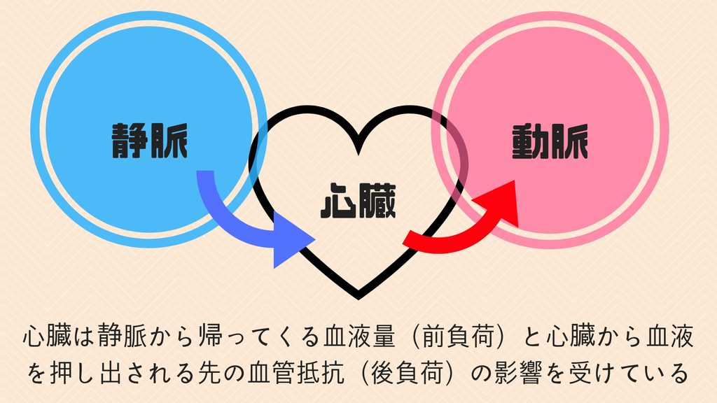 f:id:hailanddsk:20180912021207j:plain