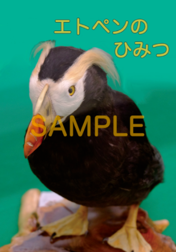 f:id:haimidori:20211105012447p:plain