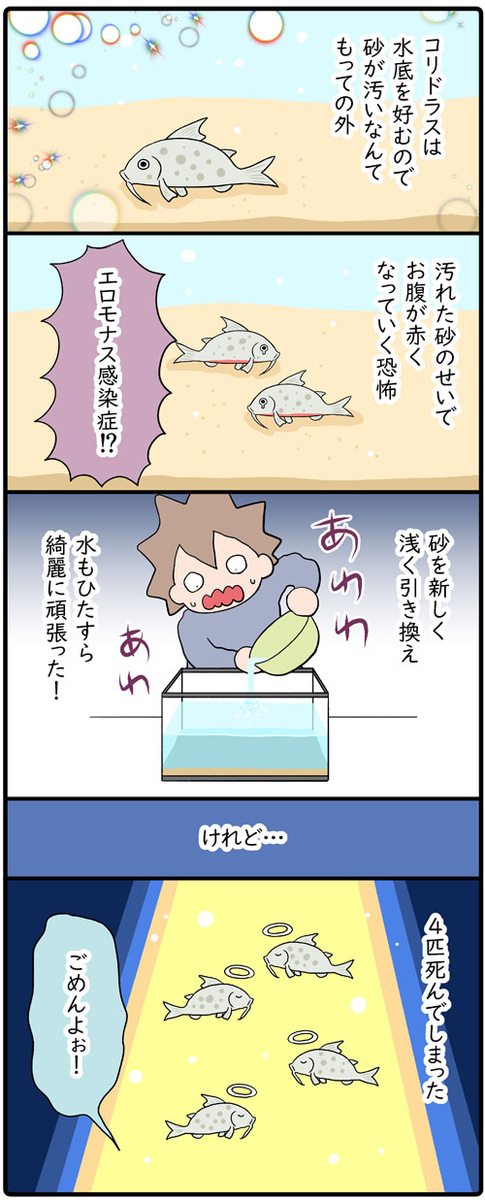 f:id:hainei:20220109184340j:plain