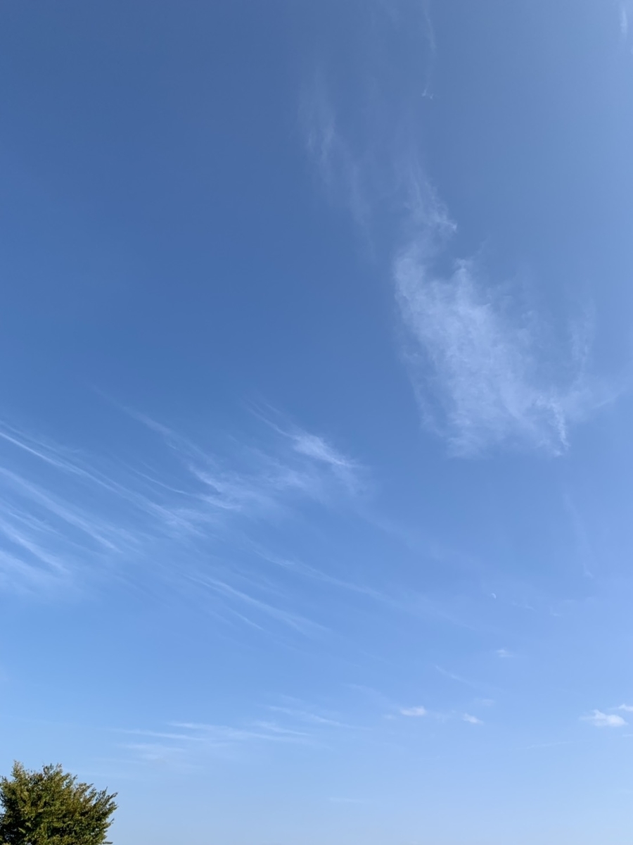 f:id:hainekosan:20191006222650j:plain