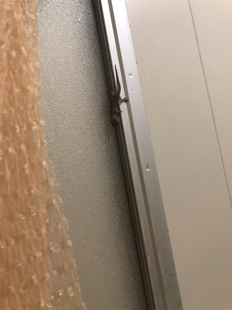 f:id:hair_taro:20180924180301j:image f:id:hair_taro:20180924180301j:image