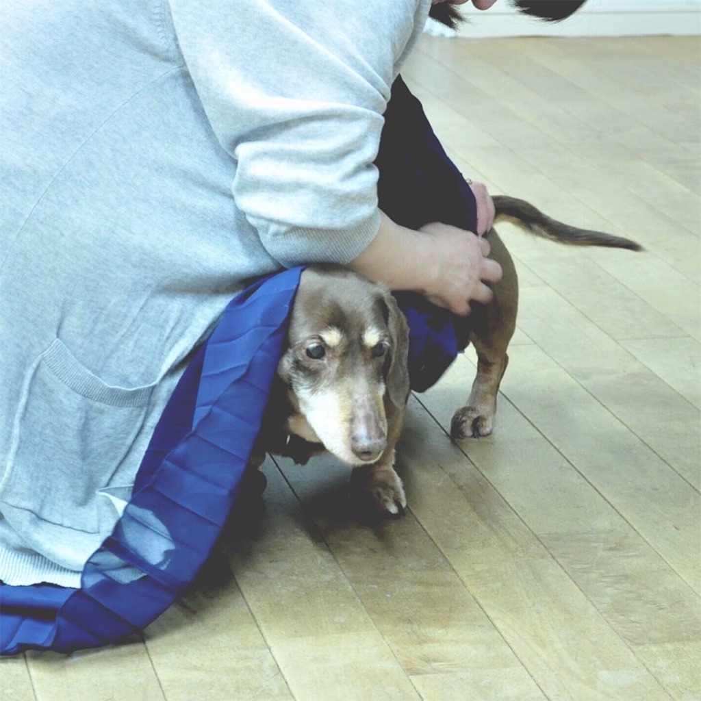f:id:hairboxreve:20200921220500j:image