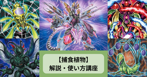 捕食植物】新規カード解説・使い方講座｜ブレイジング・ドミニオン収録