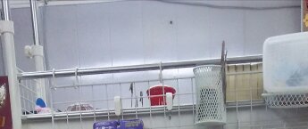 f:id:hairplazasugar:20170210222947j:plain f:id:hairplazasugar:20170210222947j:plain