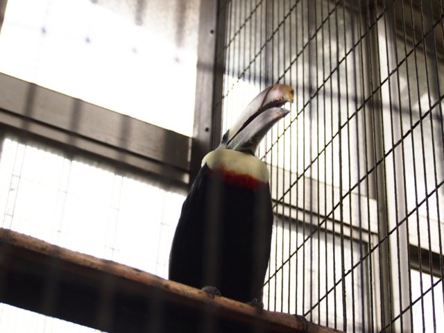 f:id:hairuno:20130526094812j:image:w640