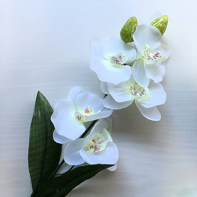 f:id:haisetan:20161130002445j:plain
