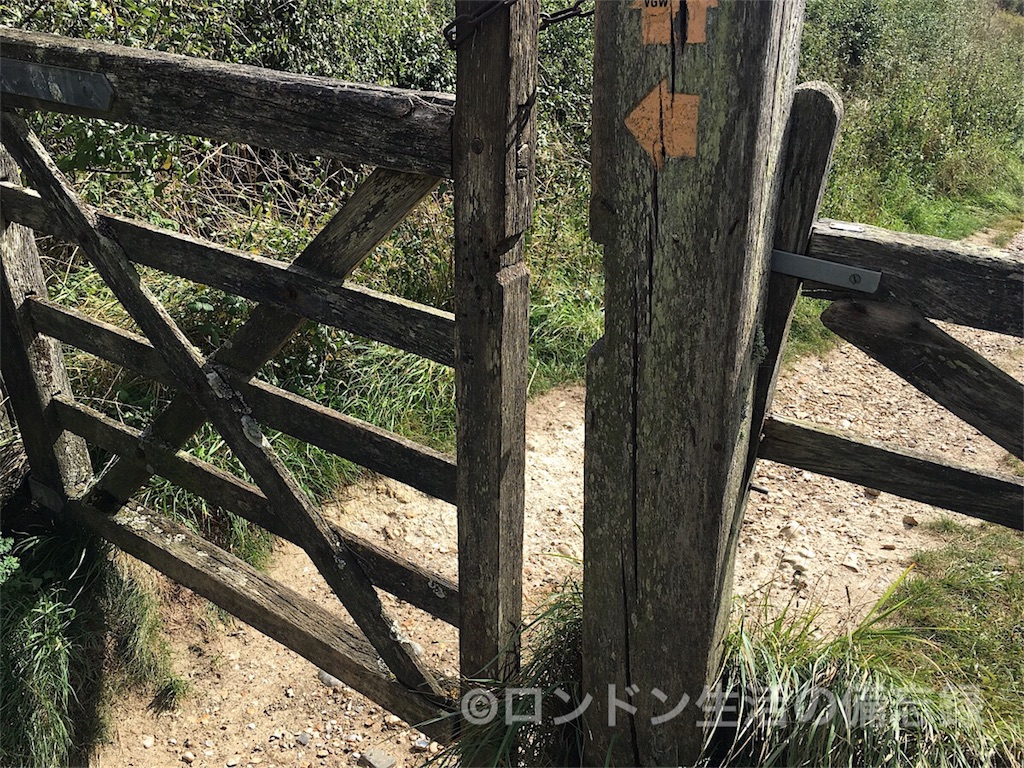 f:id:haisetan:20180928001942j:image
