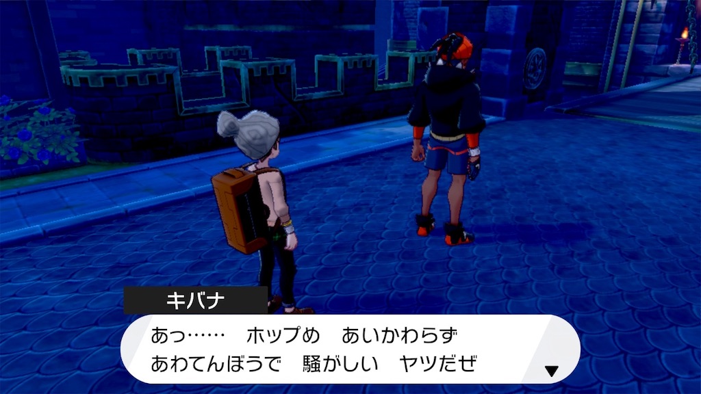 f:id:haitan-randain:20250618135440j:image