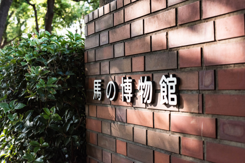 f:id:haiya_san:20170710010020j:image f:id:haiya_san:20170710010020j:image