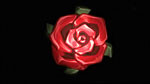 f:id:hajic:20070202175150j:image