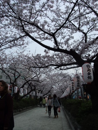 f:id:hajiki:20090405171446j:image