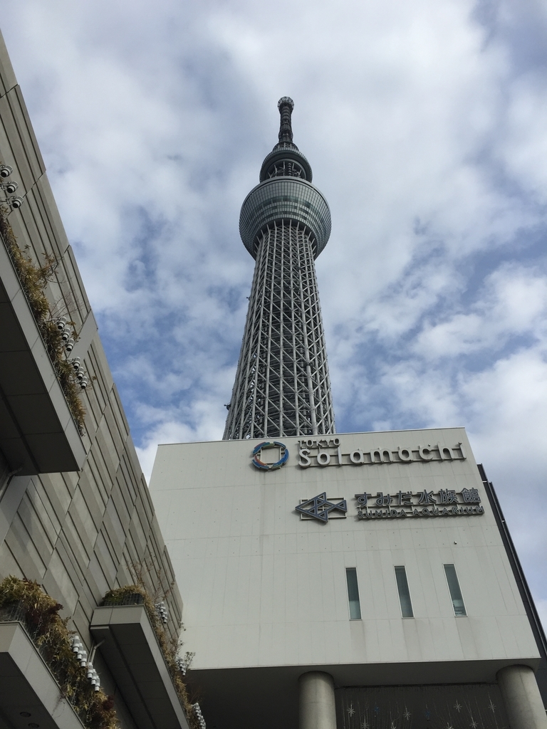 f:id:hajiki_ginsha:20190128014743j:plain f:id:hajiki_ginsha:20190128014743j:plain