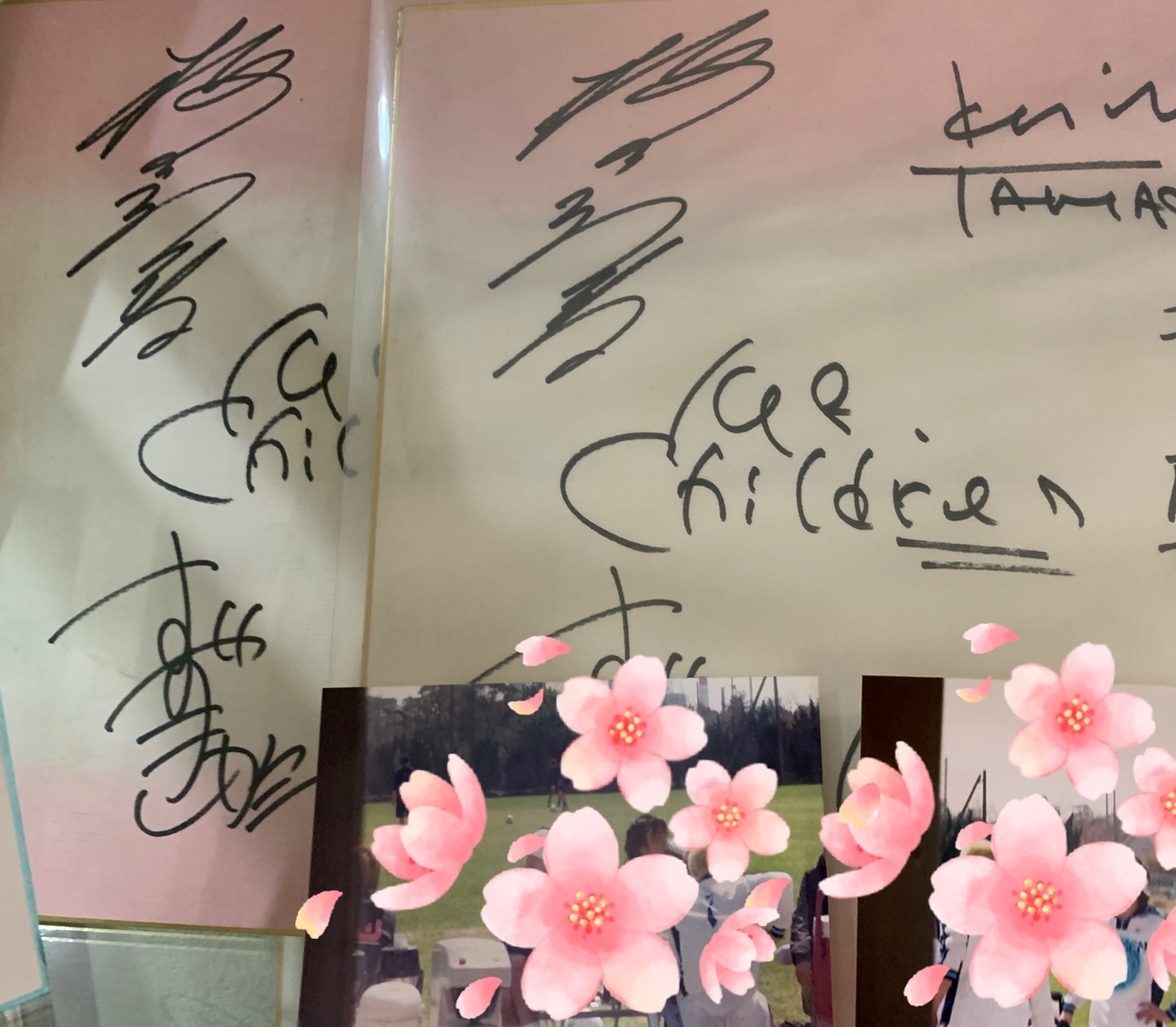 f:id:hajimari_500R:20200321164324j:plain