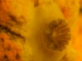 20000729135335