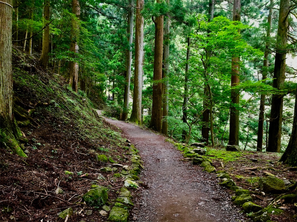 f:id:hajime0610:20190815105112j:image f:id:hajime0610:20190815105112j:image
