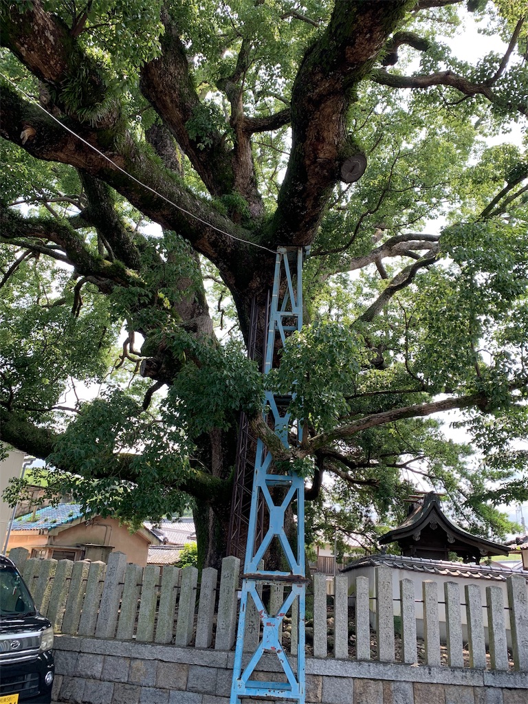 f:id:hajime8302:20190723133226j:image f:id:hajime8302:20190723133226j:image