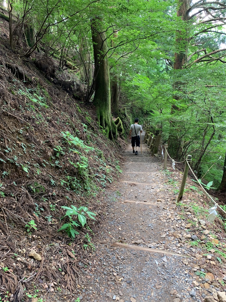 f:id:hajime8302:20190731133618j:image f:id:hajime8302:20190731133618j:image
