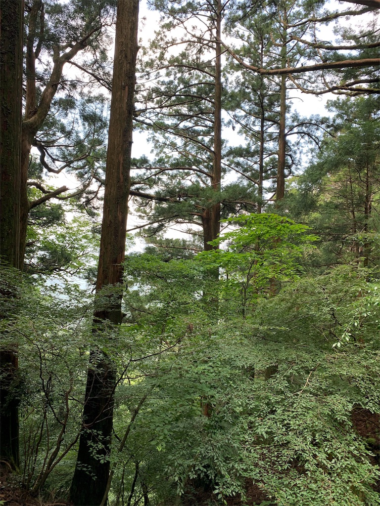 f:id:hajime8302:20190731133927j:image f:id:hajime8302:20190731133927j:image