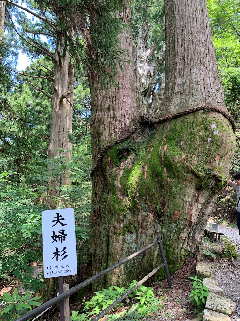f:id:hajime8302:20190731135915j:image f:id:hajime8302:20190731135915j:image