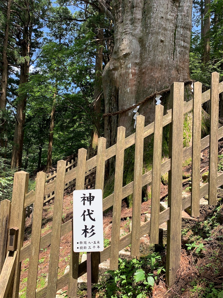 f:id:hajime8302:20190731140104j:image f:id:hajime8302:20190731140104j:image
