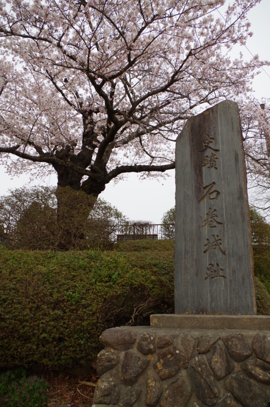 f:id:hajime_shirasu:20130420174839j:image:w360