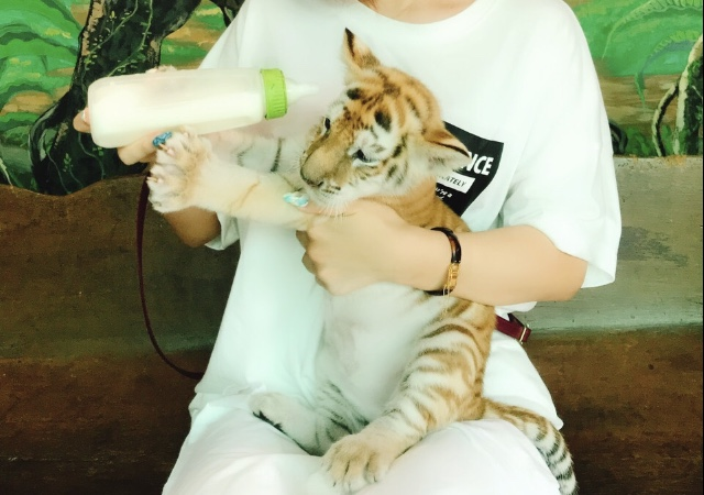 f:id:hajimeblog:20190824005057p:plain f:id:hajimeblog:20190824005057p:plain