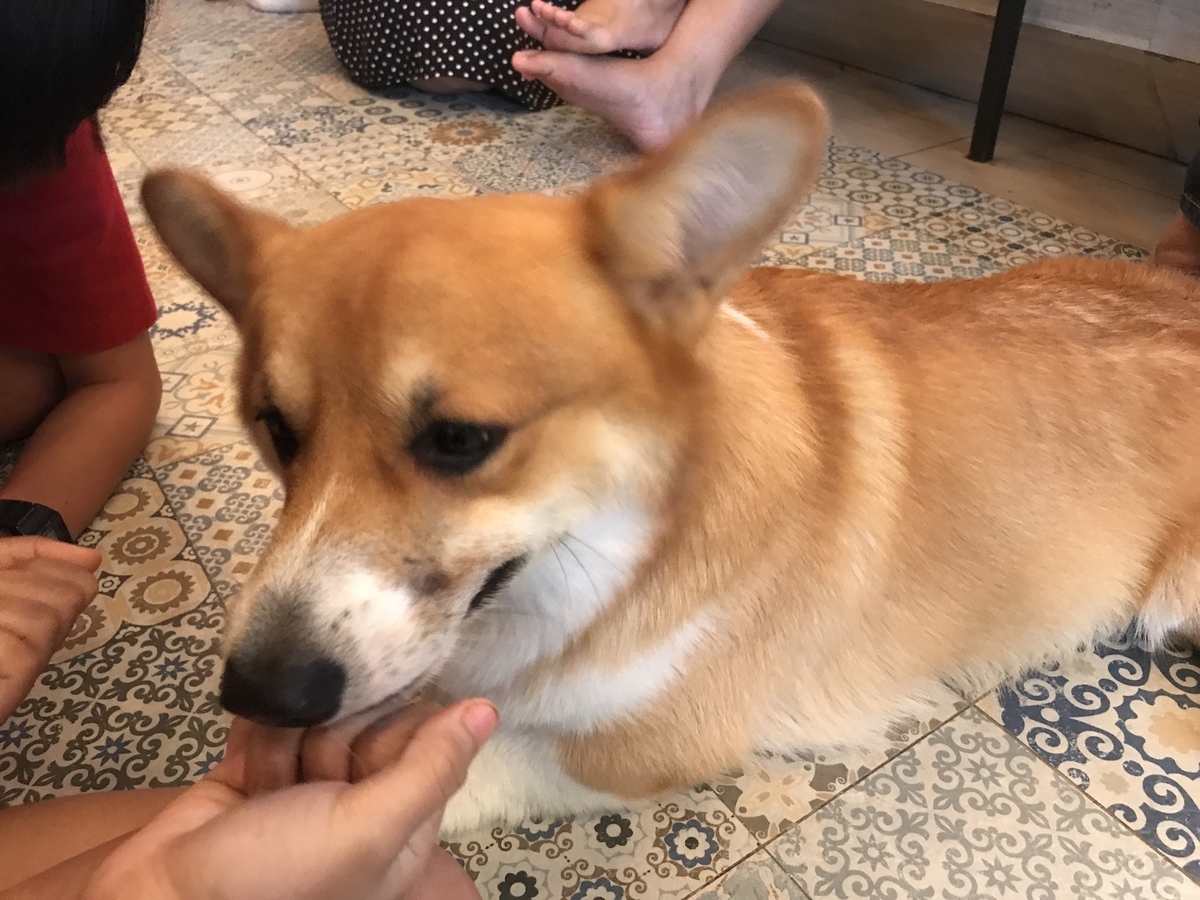 f:id:hajimeblog:20190824143221j:plain f:id:hajimeblog:20190824143221j:plain